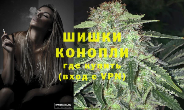 альфа пвп Гусев