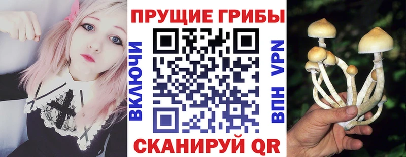 где продают   Джанкой  Псилоцибиновые грибы мухоморы 