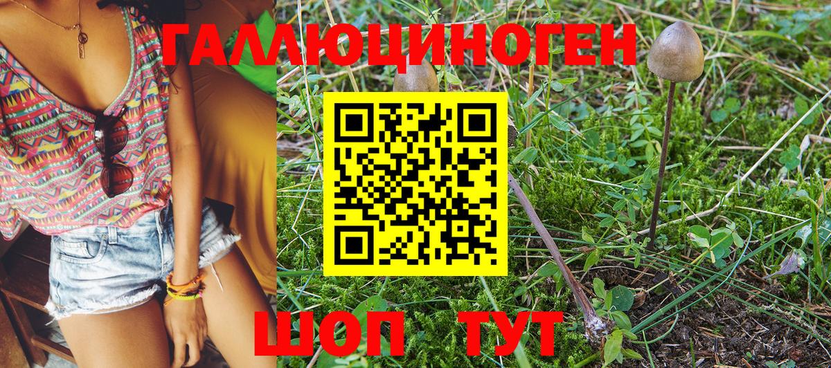 Джанкой  Псилоцибиновые грибы Psilocybine cubensis  Вход с VPN 