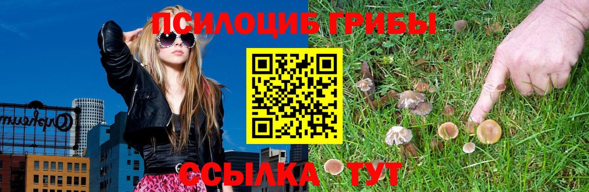 Псилоцибиновые грибы мухоморы Джанкой